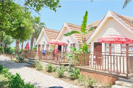 Clover Magic Nova Beach - 13