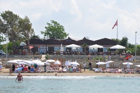 Clover Magic Nova Beach - 21