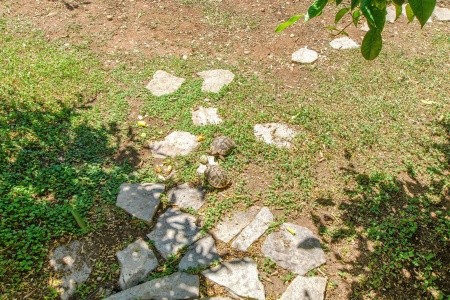 Apartmány 1355-131 - 7