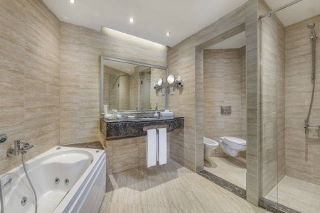 Iberotel Palace - 15