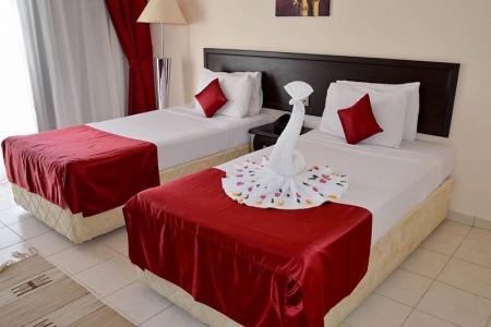 Panorama Naama Heights - 20