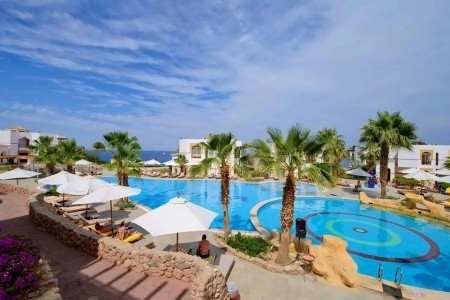 Amphoras Blu (Ex. Shores Aloha) - 25