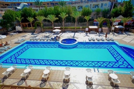 Falcon Naama Star - 13