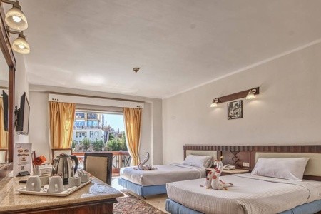 Falcon Naama Star - 19