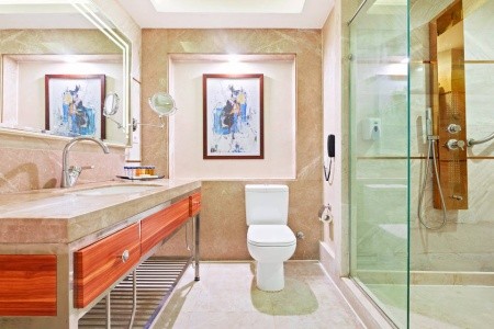 Albatros Royal Moderna - 91