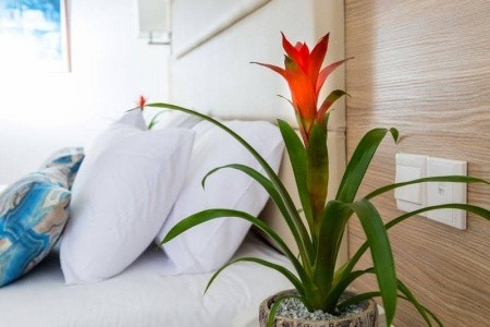 Ascos Coral Beach - 22