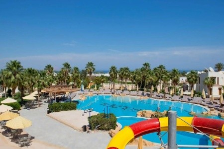 Amphoras Aqua (Ex. Shores Golden) - 19