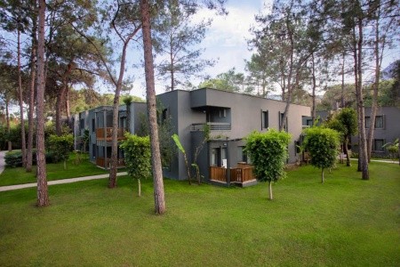 Balmy Foresta (Ex. Paloma Foresta) - 65