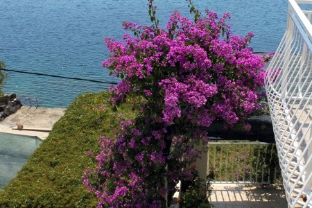 Penzion 3298-357 - 40