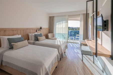 Berry Blue (Ex. Maya World Side) - 54