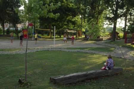 Harmony Suites 3 Jungle - 19