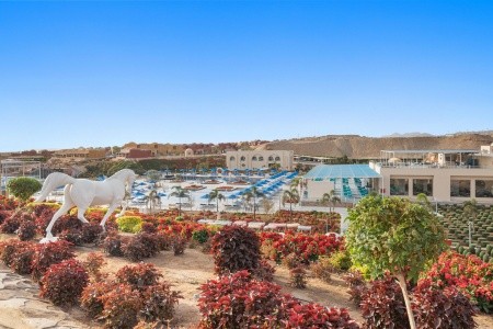 Pickalbatros Villaggio Resort - Portofino Marsa Alam - 321