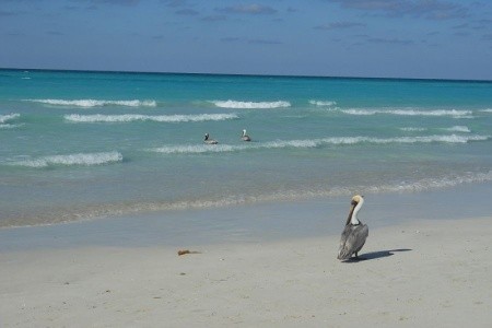 Paradisus Princesa Del Mar Resort & Spa - 15