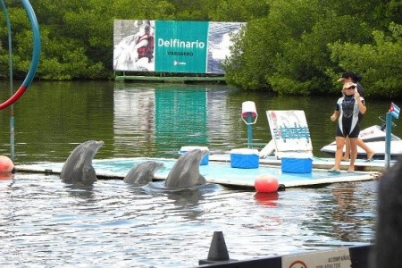 Brisas Del Caribe - 18