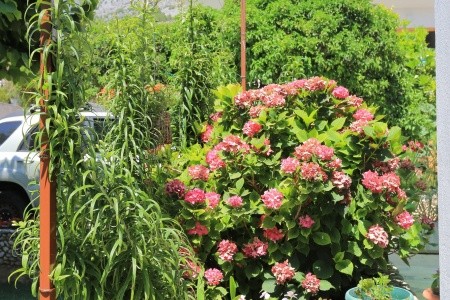 Apartmány 3298-292 - 91