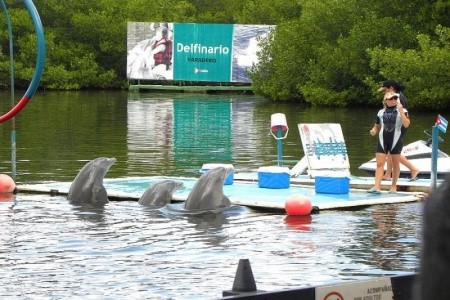 Copacabana, Grand Memories Cayo Largo - 6