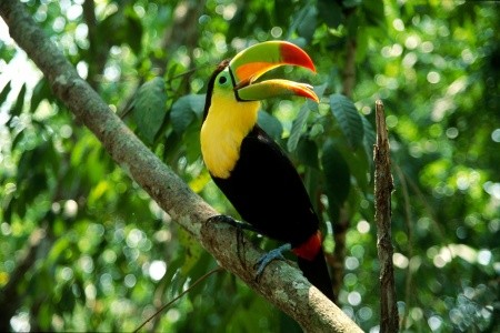 To nejlepší z Kostariky - 10