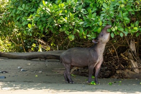 To nejlepší z Kostariky - 11