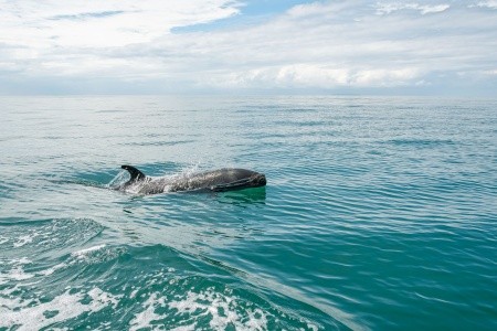 To nejlepší z Kostariky - 15