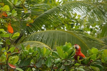 To nejlepší z Kostariky - 18