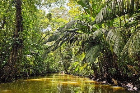 To nejlepší z Kostariky - 19