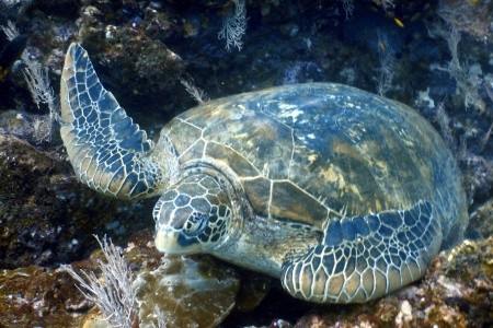 To nejlepší z Kostariky - 22