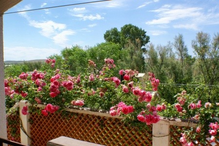 Apartmány 3298-40 - 1