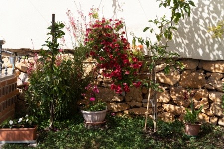 Apartmány 3298-5276 - 5