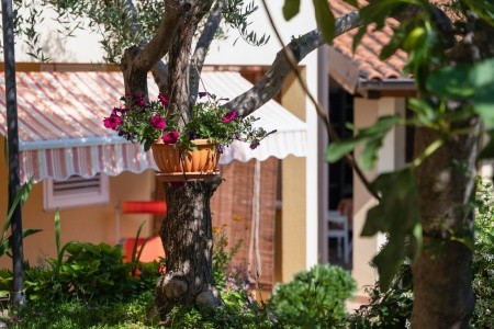 Apartmány 3298-5276 - 4