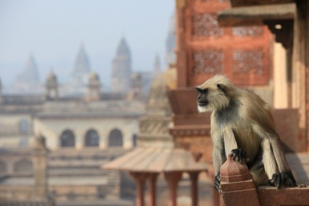 Indie - mezi posvátnou Gangou a Tádž Mahálem - 13
