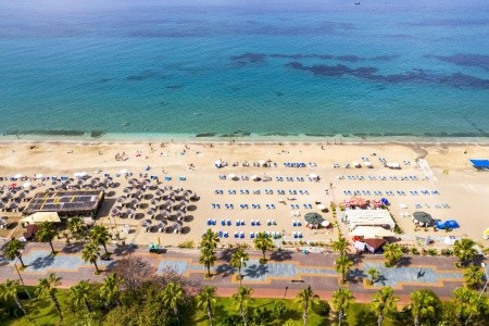 Kleopatra Royal Palm - 27