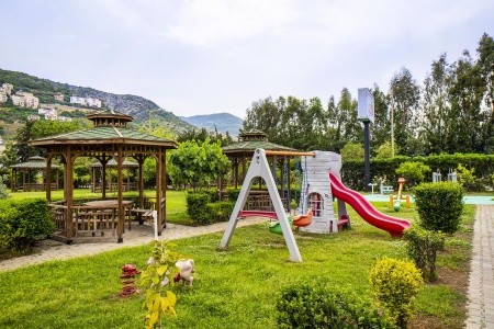 Kleopatra Royal Palm - 28