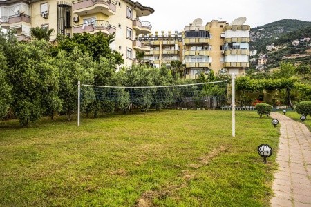 Kleopatra Royal Palm - 31