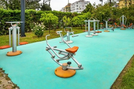 Kleopatra Royal Palm - 32