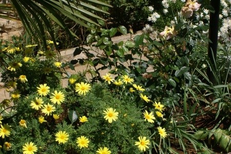 Apartmány 3298-678 - 46