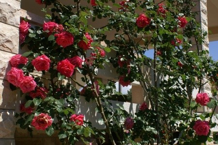 Apartmány 3298-678 - 47