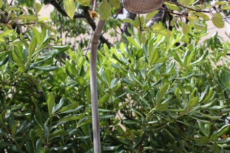 Apartmány 3298-938 - 6