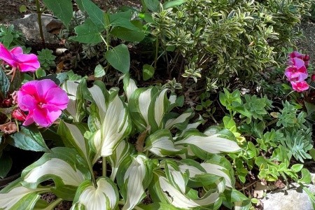 Apartmány 3298-7574 - 23