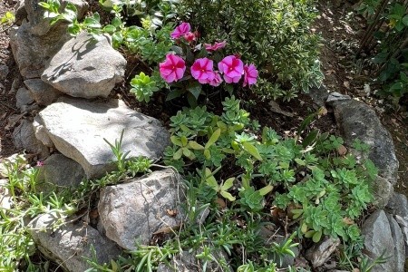 Apartmány 3298-7574 - 24