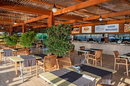 Dizalya Palm Garden - 26