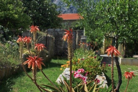 Apartmány 3298-2207 - 30