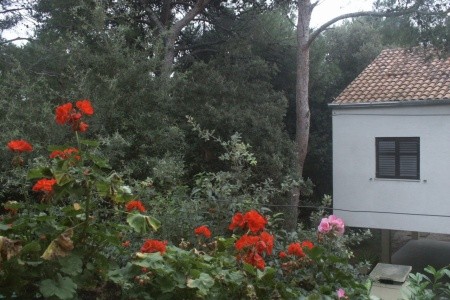 Apartmány 3298-447 - 24