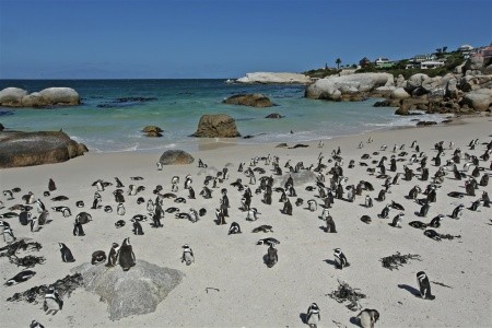 ZÁPADNÍ KAPSKO - 3