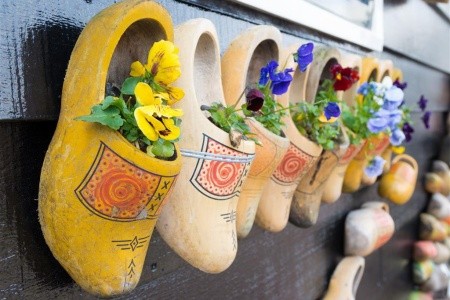 Kvetinové Holandsko a Belgicko, Rotterdam, Keukenhof, Zaanse Schans, Amsterdam, Belgicko-holandský okruh, Belgicko-holandský okruh, Brusel - 4