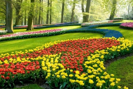 Kvetinové Holandsko a Belgicko, Rotterdam, Keukenhof, Zaanse Schans, Amsterdam, Belgicko-holandský okruh, Belgicko-holandský okruh, Brusel - 5