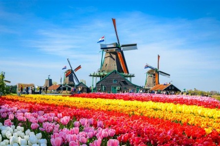 Belgicko a Holandsko, Brusel, Bruggy, Antverpy, Rotterdam, Giethoorn, Enkhuizen, Zaanse Schans, Amsterdam - 18