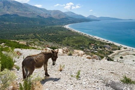 Albansko a Ohridské jazero, Ohrid, Ohridské jazero, Tirana, Vlorë, Berat, Gjirokastra, Apollonia, Krujë, Himarë, Sarandë, Porto Palermo, Butrint - 7