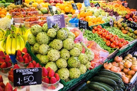 Španielske trio - Madrid, Valencia, Barcelona, Madrid, Valencia, Barcelona, Segovia, Aranjuez - 13