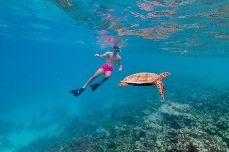 Maldivy Severný Atol Male Eri Maldives (Ex.