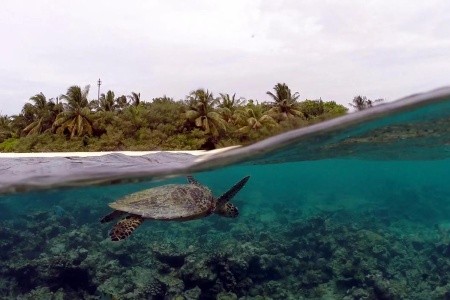 Maldivy Severný Atol Male Eri Maldives (Ex.